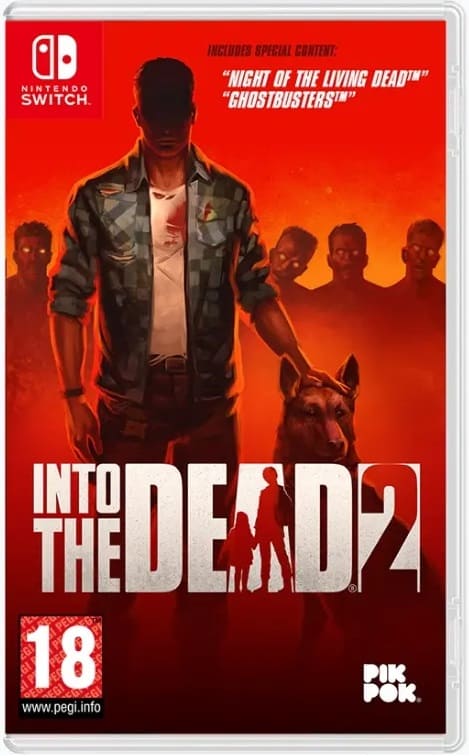 Into the Dead 2 (Nintendo Switch, РУС, БУ)