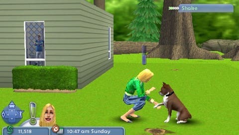 Sims 2 Pets [PSP, БУ] - интернет-магазин GameShock г. Челябинск
