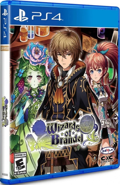 Wizards of Brandel (Limited Run) [PS4, английская версия]