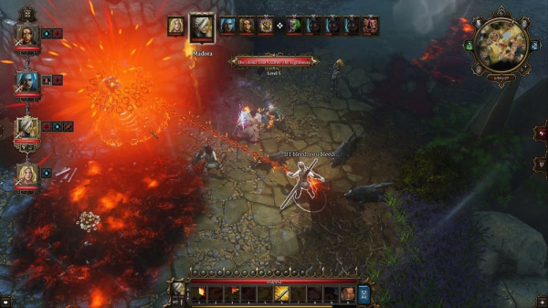Divinity: Original Sin Enhanced Edition (PS4, русские субтитры) - интернет-магазин GameShock г. Челябинск