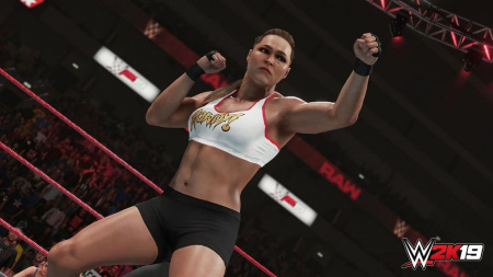 WWE 2K19 (PS4, английская версия) - интернет-магазин GameShock г. Челябинск