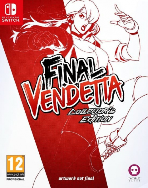 Final Vendetta - Collector's Edition [Nintendo Switch, английская версия, БУ]