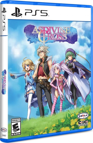 Asdivine Cross (Limited Run) [PS5, английская версия]