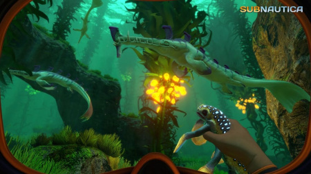Subnautica (PS4, русские субтитры) - интернет-магазин GameShock г. Челябинск