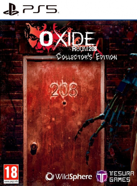 Oxide Room 208 - Collector's Edition [PS5, русские субтитры]