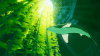 Abzu (PS4, русские субтитры) - интернет-магазин GameShock г. Челябинск Abzu (PS4, русские субтитры) - интернет-магазин GameShock г. Челябинск