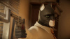 Blacksad: Under The Skin (Nintendo Switch, русская версия) - интернет-магазин GameShock г. Челябинск Blacksad: Under The Skin (Nintendo Switch, русская версия) - интернет-магазин GameShock г. Челябинск