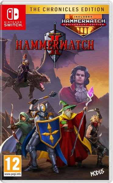 Hammerwatch II (2) - The Chronicles Edition (Nintendo Switch, русские субтитры)
