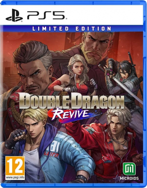 Double Dragon: Revive [PS5, АНГЛ, БУ]