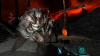 DOOM 3 (PS3, АНГЛ, БУ) - интернет-магазин GameShock г. Челябинск