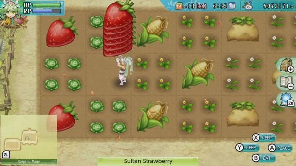 Rune Factory 4 Special (Nintendo Switch, АНГЛ, БУ) - интернет-магазин GameShock г. Челябинск