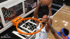 NBA Live 14 (PS4, английская версия) - интернет-магазин GameShock г. Челябинск