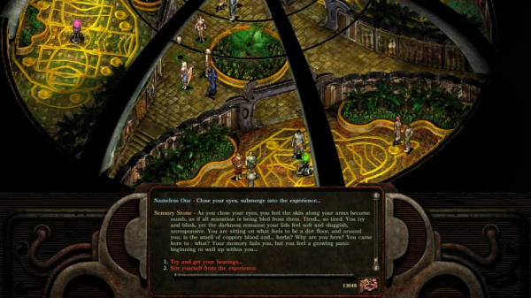 Planescape: Torment & Icewind Dale - Enhanced Edition (PS4, русские субтитры) - интернет-магазин GameShock г. Челябинск
