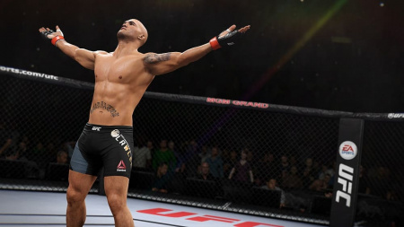 UFC 2 (PS4, английская версия) - интернет-магазин GameShock г. Челябинск