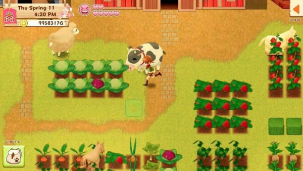 Harvest Moon: Light of Hope - Special Edition (PS4, английская версия) - интернет-магазин GameShock г. Челябинск