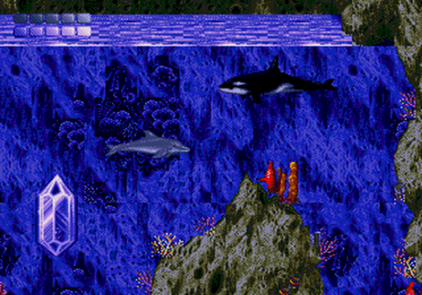 Картридж (16 бит) ECCO THE DOLPHIN для Сеги - интернет-магазин GameShock г. Челябинск