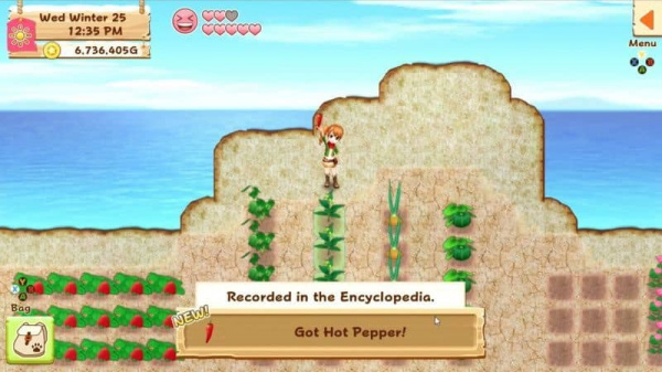 Harvest Moon: Light of Hope - Special Edition (PS4, английская версия) - интернет-магазин GameShock г. Челябинск