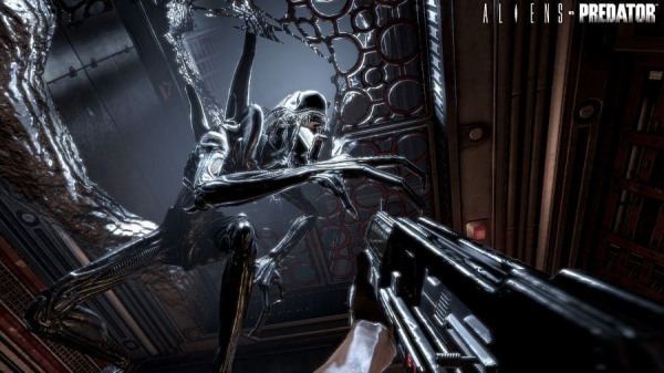 Aliens VS Predator (Xbox 360, РУС, БУ) - интернет-магазин GameShock г. Челябинск Aliens VS Predator (Xbox 360, РУС, БУ) - интернет-магазин GameShock г. Челябинск