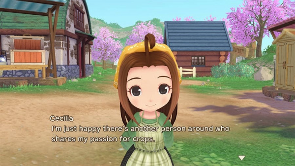 Story of Seasons: A Wonderful Life [Nintendo Switch, английская версия] - интернет-магазин GameShock г. Челябинск