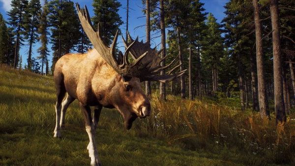 Way of the Hunter [Xbox Series X, русские субтитры] - интернет-магазин GameShock г. Челябинск