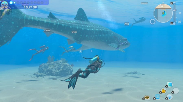 Endless Ocean Luminous (Nintendo Switch, английская версия) - интернет-магазин GameShock г. Челябинск