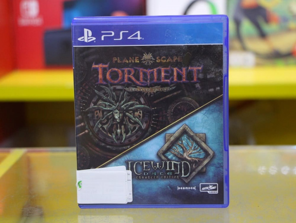 Planescape: Torment & Icewind Dale - Enhanced Edition (PS4, РУС, БУ) - интернет-магазин GameShock г. Челябинск