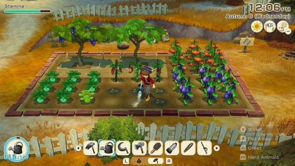 Story of Seasons: Grand Bazaar - Limited Edition [Nintendo Switch, английская версия] - интернет-магазин GameShock г. Челябинск