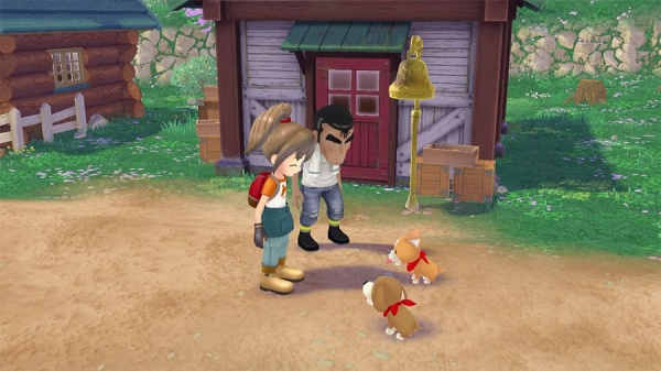 Story of Seasons: A Wonderful Life - Limited Edition [Nintendo Switch, английская версия] - интернет-магазин GameShock г. Челябинск