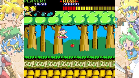 Wonder Boy Collection [Nintendo Switch, английская версия, БУ] - интернет-магазин GameShock г. Челябинск