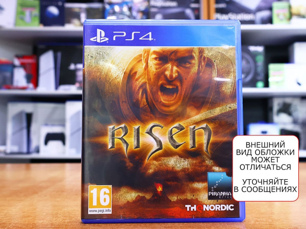 Risen [PS4, русские субтитры, БУ] - интернет-магазин GameShock г. Челябинск