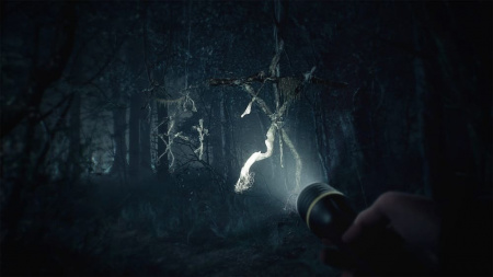 Blair Witch [PS4, русские субтитры] - интернет-магазин GameShock г. Челябинск