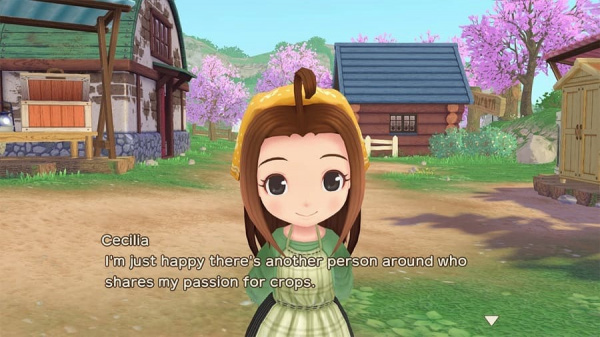 Story of Seasons: A Wonderful Life - Limited Edition [Nintendo Switch, английская версия] - интернет-магазин GameShock г. Челябинск