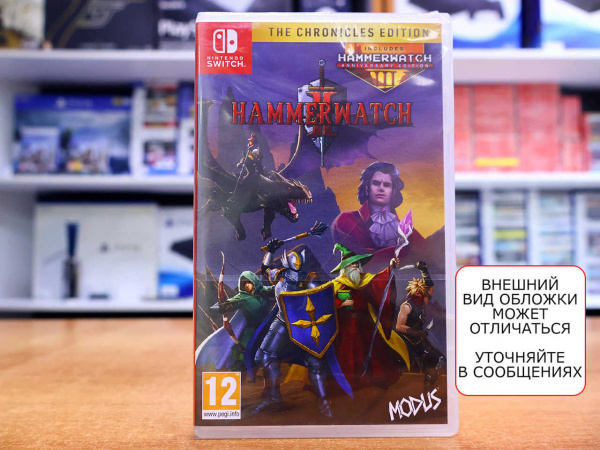 Hammerwatch II (2) - The Chronicles Edition (Nintendo Switch, русские субтитры) - интернет-магазин GameShock г. Челябинск