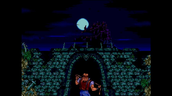 Castlevania Anniversary Collection [Nintendo Switch, английская версия] - интернет-магазин GameShock г. Челябинск
