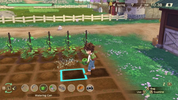 Story of Seasons: A Wonderful Life - Limited Edition [Nintendo Switch, английская версия] - интернет-магазин GameShock г. Челябинск