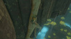 The Legend of Zelda: Tears of the Kingdom - Collectors Edition [Nintendo Switch, русская версия] - интернет-магазин GameShock г. Челябинск