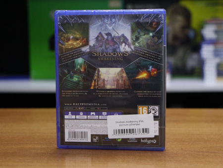 Shadows Awakening (PS4, русские субтитры) - интернет-магазин GameShock г. Челябинск