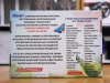 Игровая приставка Hamy SD Jungle black 16 Bit + 166 игр - интернет-магазин GameShock г. Челябинск Игровая приставка Hamy SD Jungle black 16 Bit + 166 игр - интернет-магазин GameShock г. Челябинск