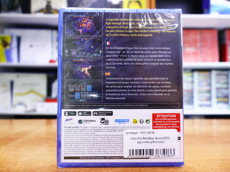 Into the Restless Ruins [PS5, русские субтитры] - интернет-магазин GameShock г. Челябинск