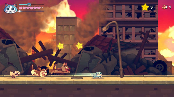 KinnikuNeko: SUPER MUSCLE CAT [PS5, русские субтитры] - интернет-магазин GameShock г. Челябинск