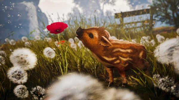Adorable Adventures (PS5, русская версия) - интернет-магазин GameShock г. Челябинск