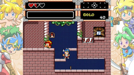 Wonder Boy Collection [Nintendo Switch, английская версия, БУ] - интернет-магазин GameShock г. Челябинск