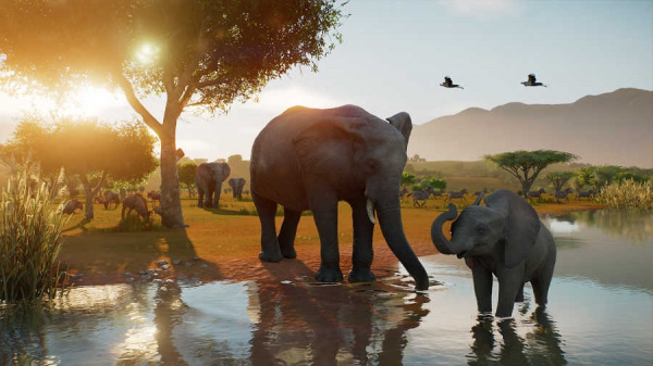 Planet Zoo 2 (Xbox Series X, русские субтитры) - интернет-магазин GameShock г. Челябинск