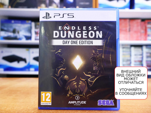 Endless Dungeon (PS5, русские субтитры, БУ) - интернет-магазин GameShock г. Челябинск