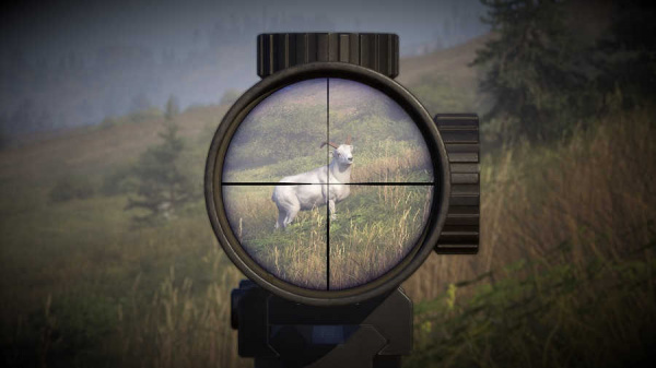 Way of the Hunter 2 [Xbox Series X, русские субтитры] - интернет-магазин GameShock г. Челябинск
