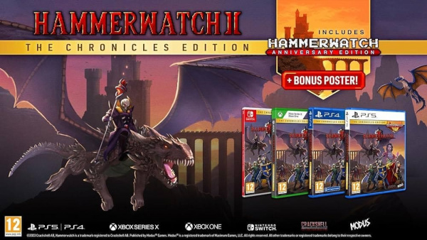 Hammerwatch II (2) - The Chronicles Edition (Nintendo Switch, русские субтитры) - интернет-магазин GameShock г. Челябинск