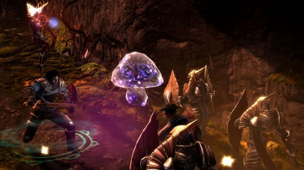 Dungeon Siege 3 (Xbox 360, АНГЛ, БУ) - интернет-магазин GameShock г. Челябинск