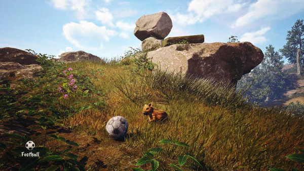 Adorable Adventures (PS5, русская версия) - интернет-магазин GameShock г. Челябинск