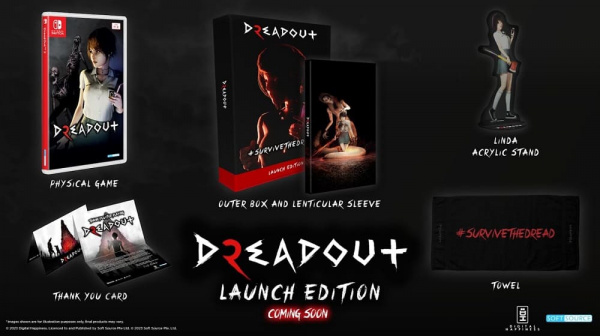 Dreadout 2 - Launch Edition [Nintendo Switch, русские субтитры] - интернет-магазин GameShock г. Челябинск