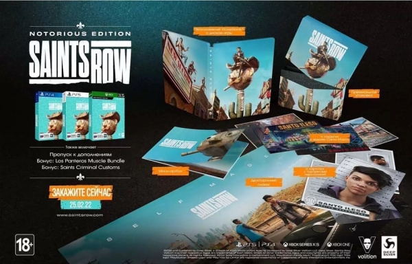 Saints Row - Notorious Edition [PS5, русские субтитры] - интернет-магазин GameShock г. Челябинск